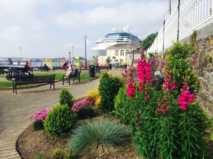 Some of the hard work of Cobh Tidy Towns