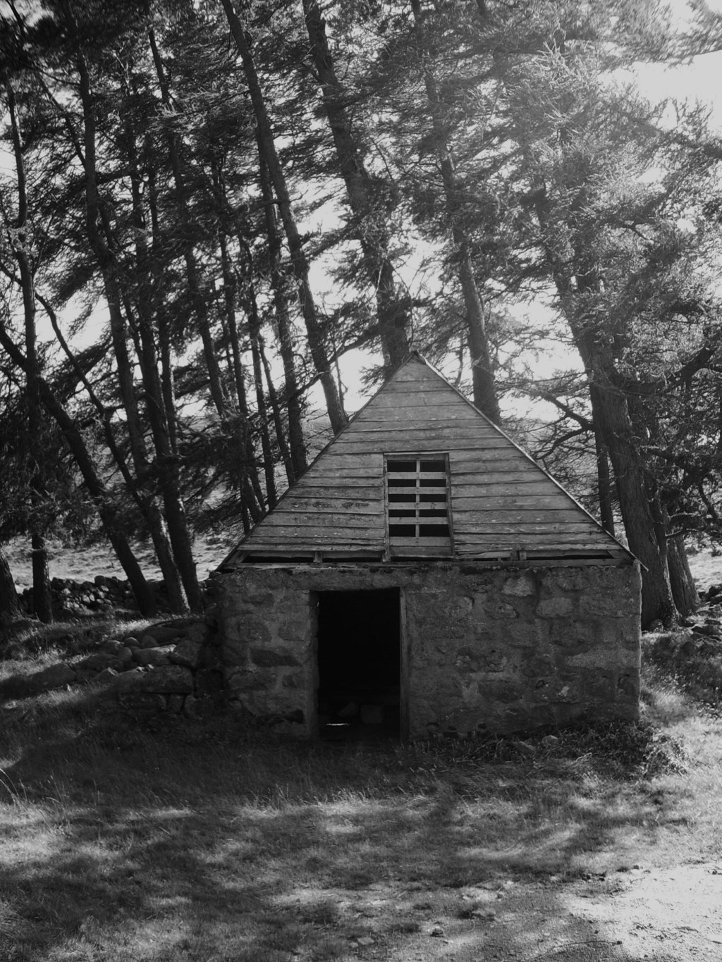 Featured image for the post Short Stories of Fear: The Stillness in the Barn